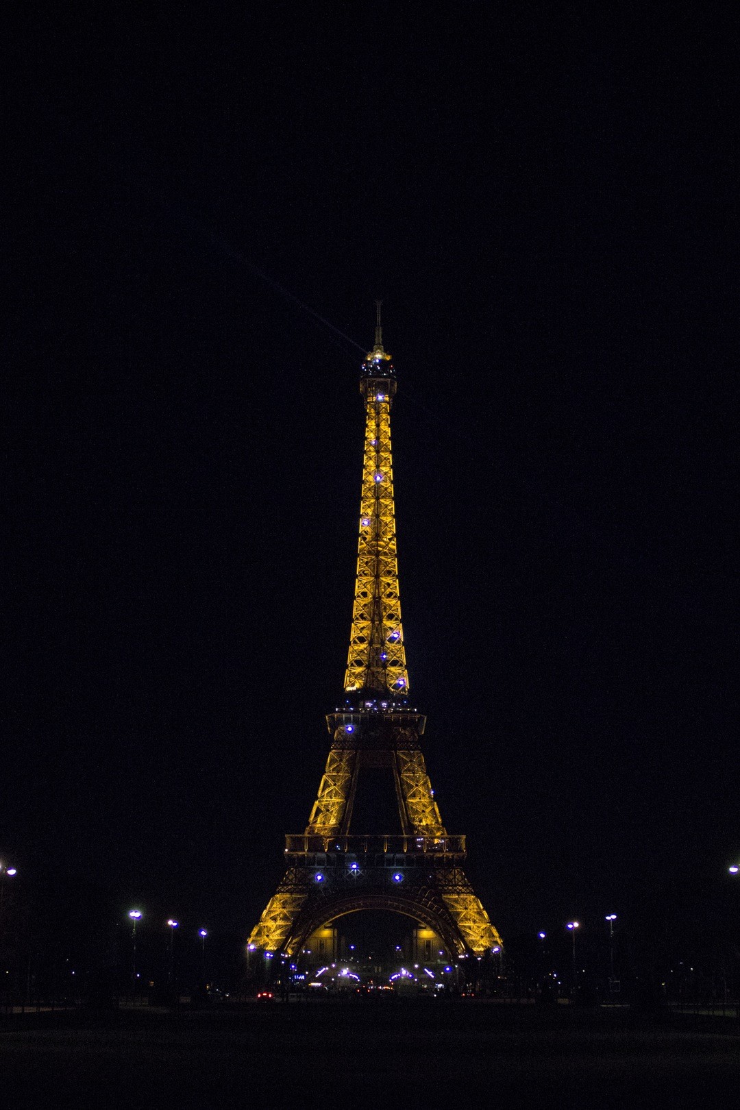 Lira śpiewa w ręku człowieka, lecz milknie gwałtownie schwycona.