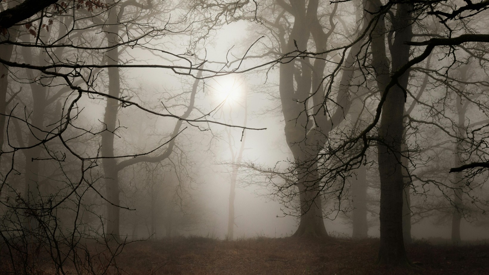 Ostrzeżenie IMGW! Niebezpieczna noc przed nami! Mgła sparaliżuje kraj