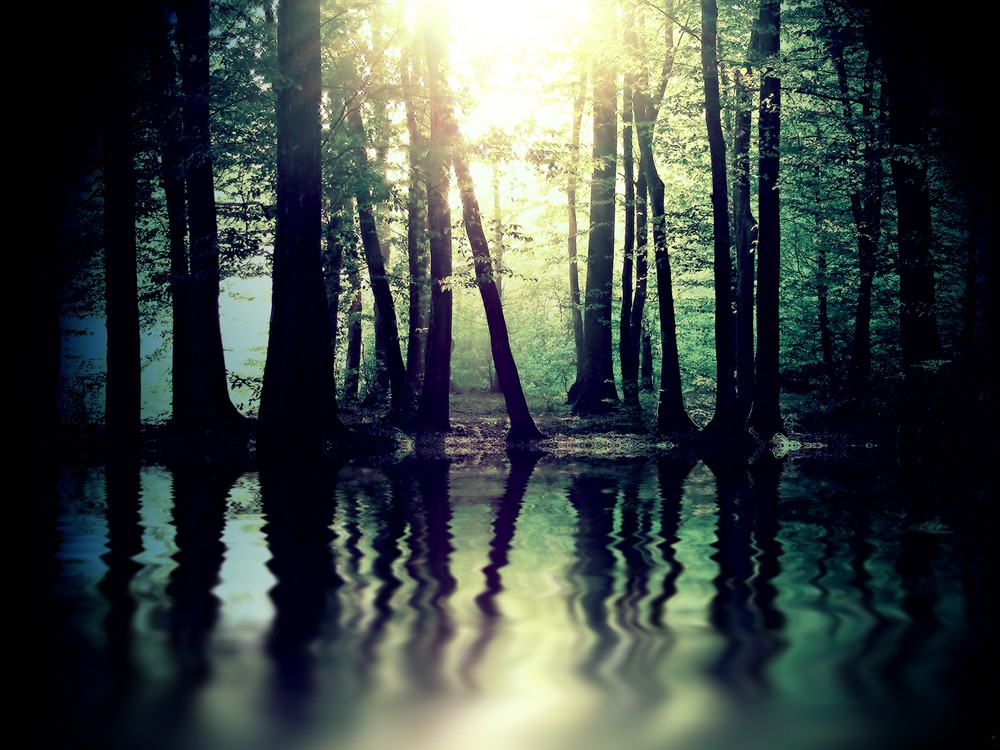 Nie mogę powstrzymać się od refleksji, co też musieli wycierpieć …