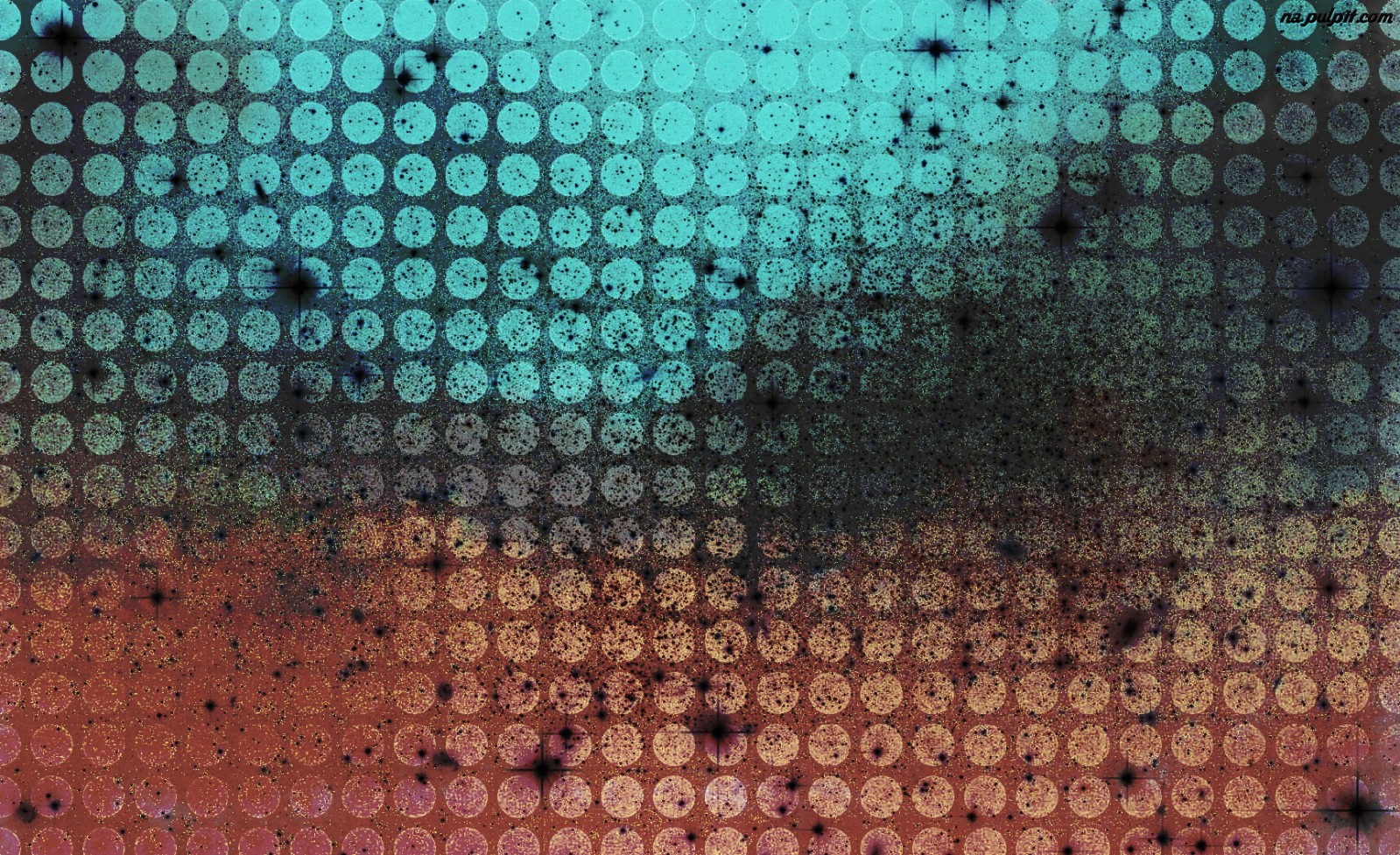 nigdy nie żałuj tego co sprawiło,że choć przez chwilę byłeś …