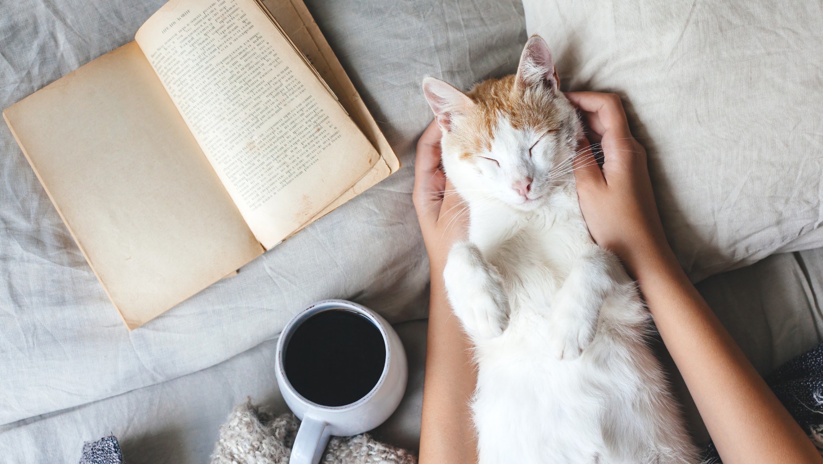 Tych pięknych słów nie znajdziesz w języku polskim. Warto je znać!