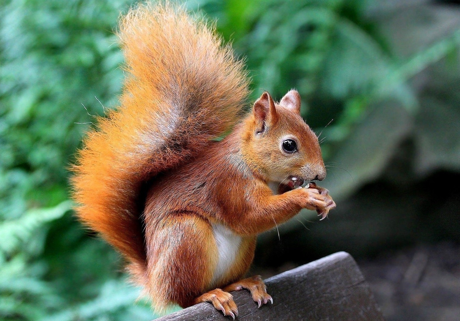 Nowego kłamstwa słucha się chętniej niż starej prawdy.