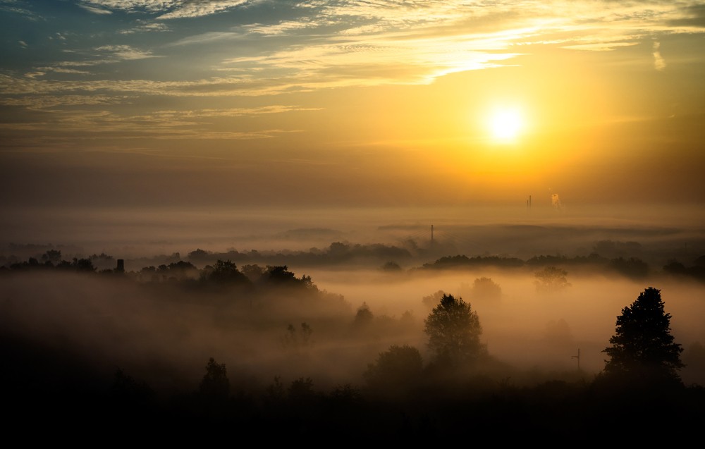Ile rzeczy należy mieć w dupie to się w głowie …