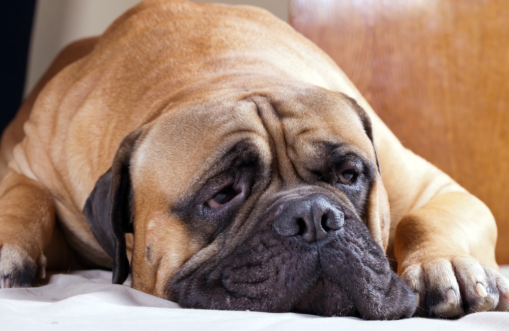 Czasami bardzo potrzebujesz przyjaciela, ale nikogo nie ma w pobliżu.