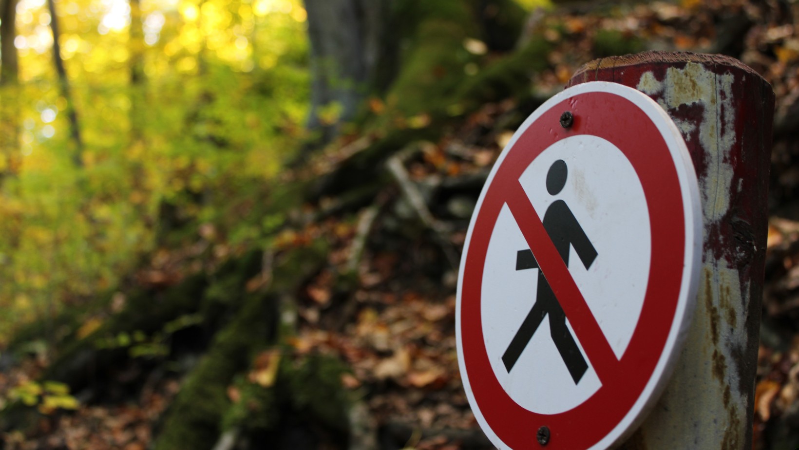 Zdjęcie Pilne! Wydano alerty dla całej Polski! Zagrożenie potrwa kilka dni! #1