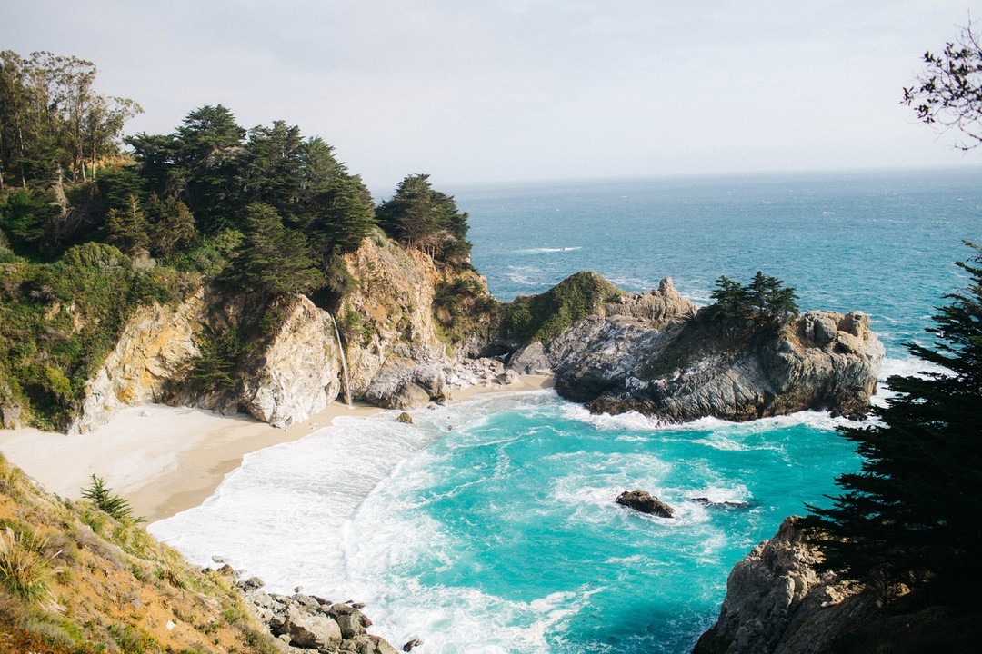 Byłeś niczym okazały dąb, pod którym mogłam leżeć i czytać.