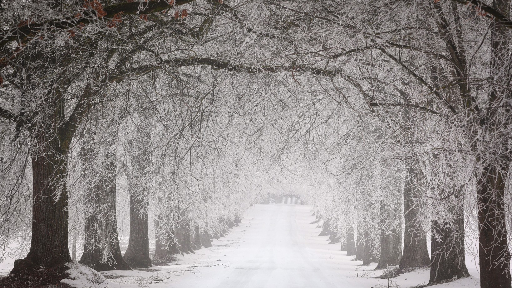 Zdjęcie Antycyklon Corvin nad Polską! Szykuje się zmiana pogody #1