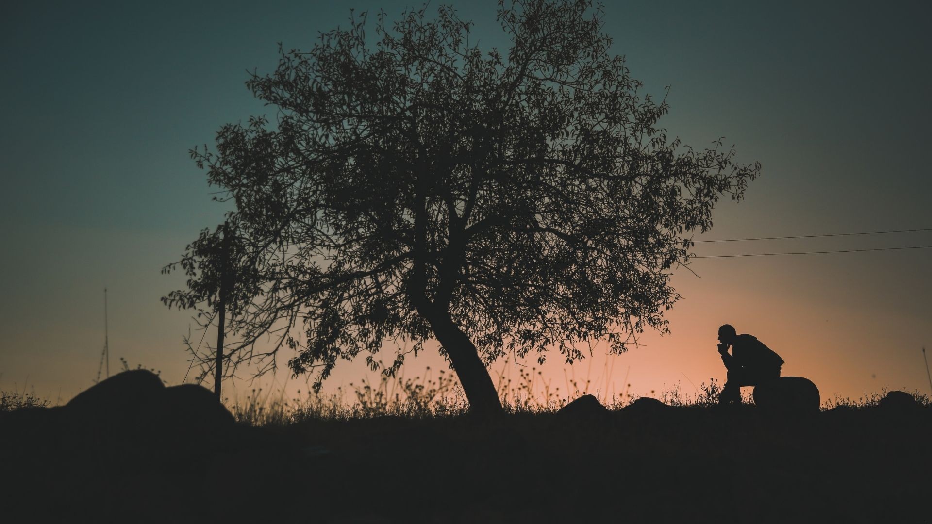 Efekt Pollyanny- na czym to polega? Jak wpływa na nasze życie?