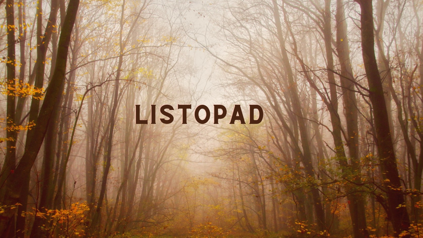 Dlaczego listopad to najgorszy miesiąc w roku?