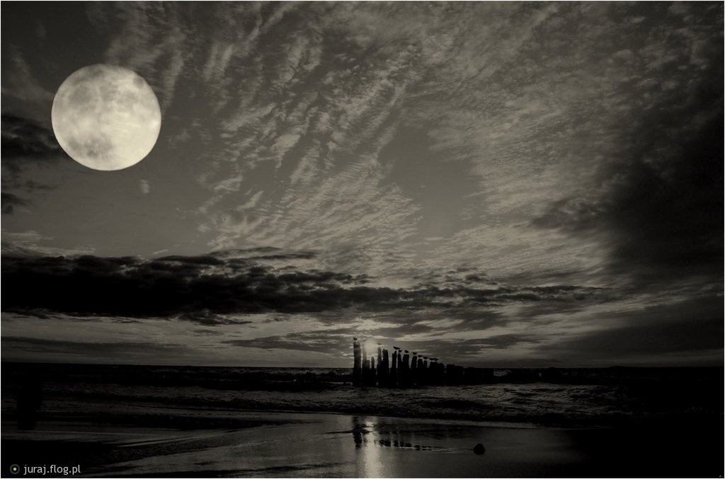 Od dziecka wiedziałem, że życie nas okalecza. Każdego z nas. …