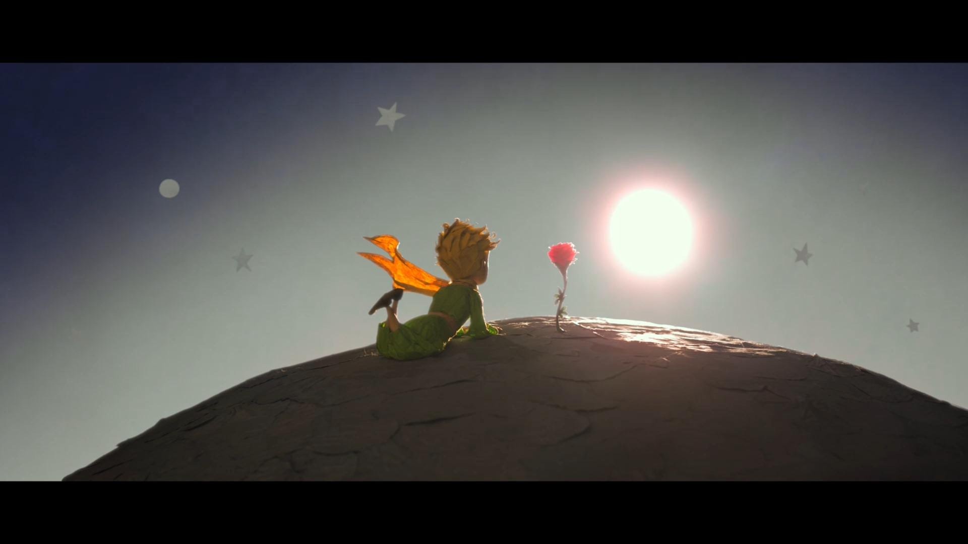 „Jesteś jak Mały Książe na środku drogi, niby dużo wiesz …