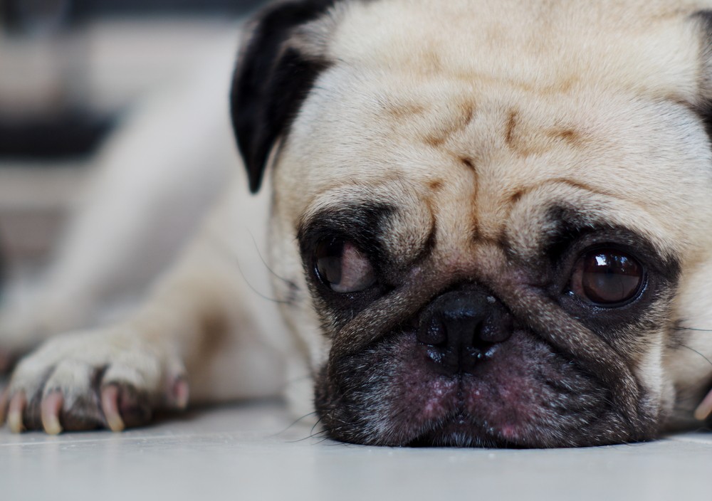 Wszyscy od czasu do czasu bywamy niemili. Wszyscy robimy rzeczy, …