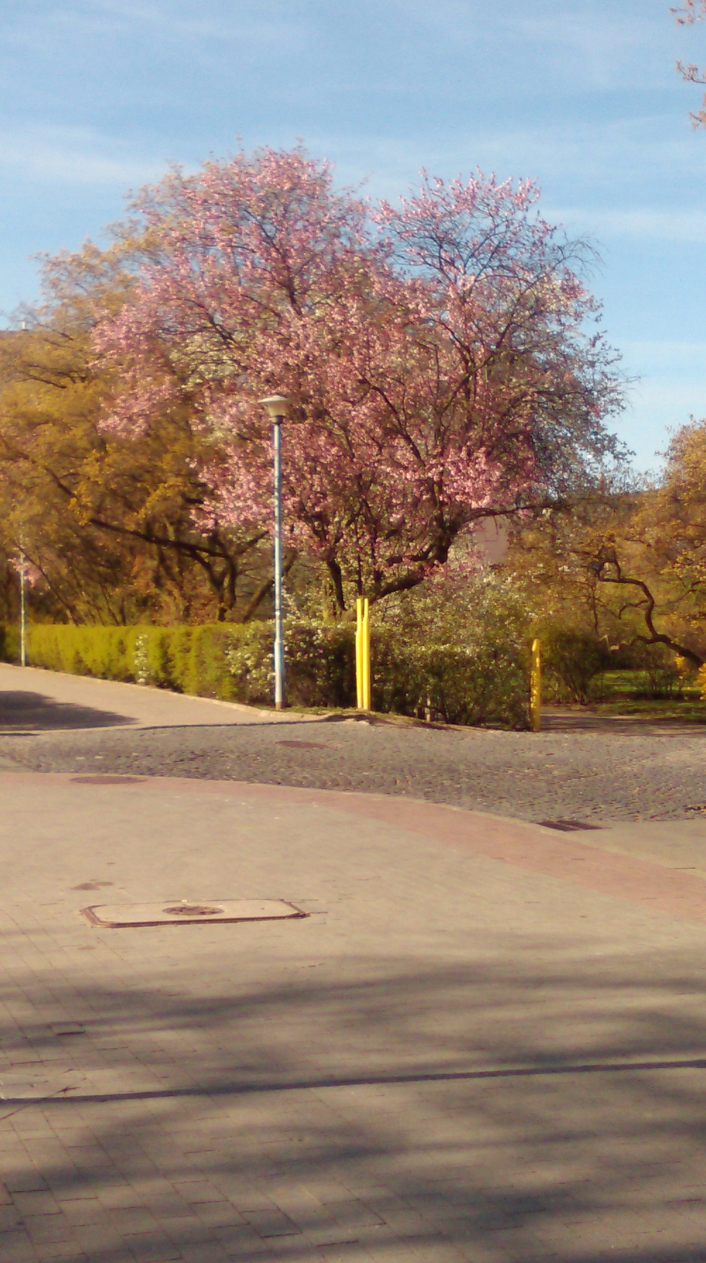 Jestem jedynym spośród 7 miliardów ludzi na Ziemi. Od 40 …