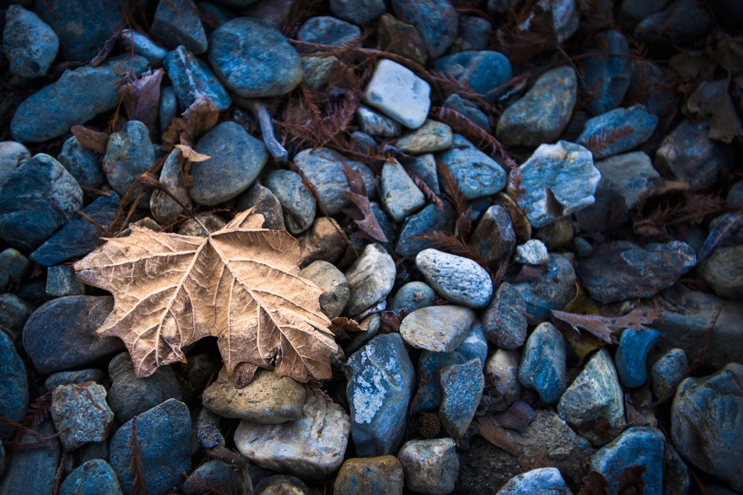 Umarł, choć był z tych, co śmiercią gardzą.