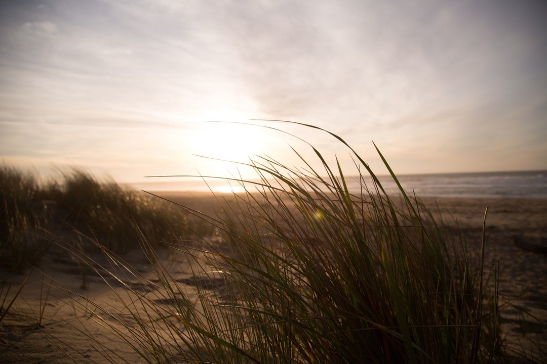Ciekawe, że mężczyźni zawsze się denerwują przed ślubem. Kobiety wolą …