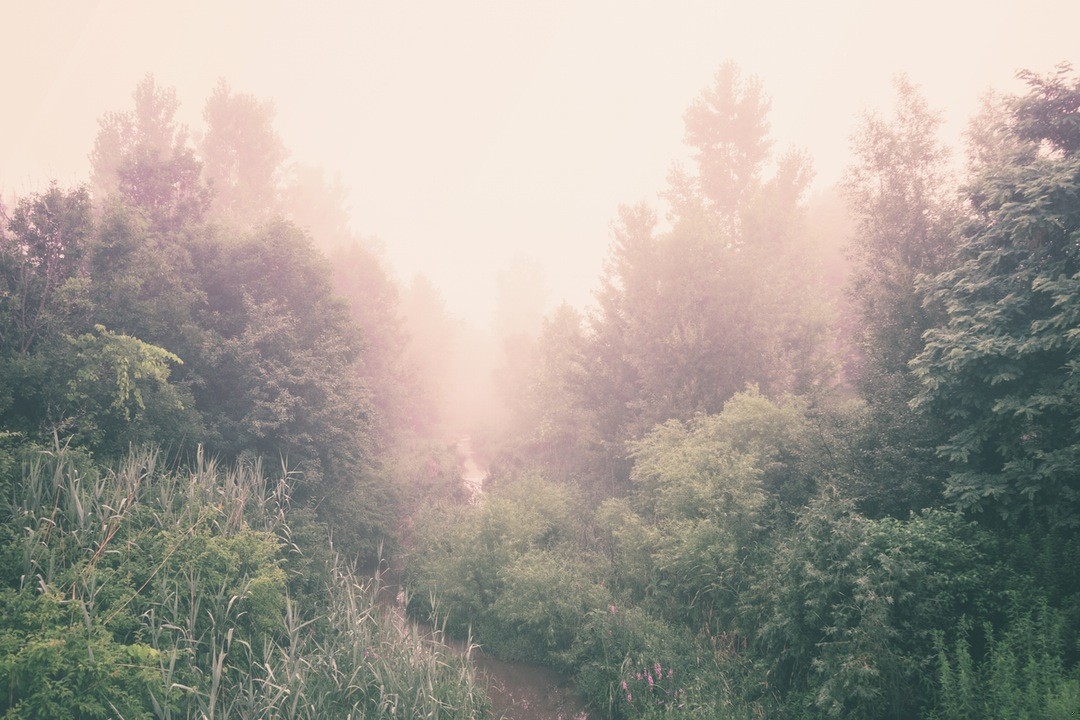 Często popularność człowieka za życia objawia się po jego śmierci.