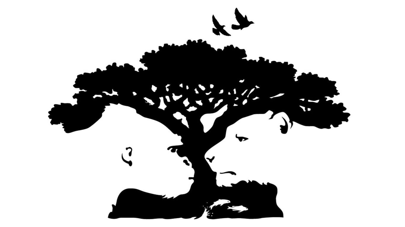 Psychotest: Co pierwszy ujrzany obiekt mówi na temat Twojej osobowości?