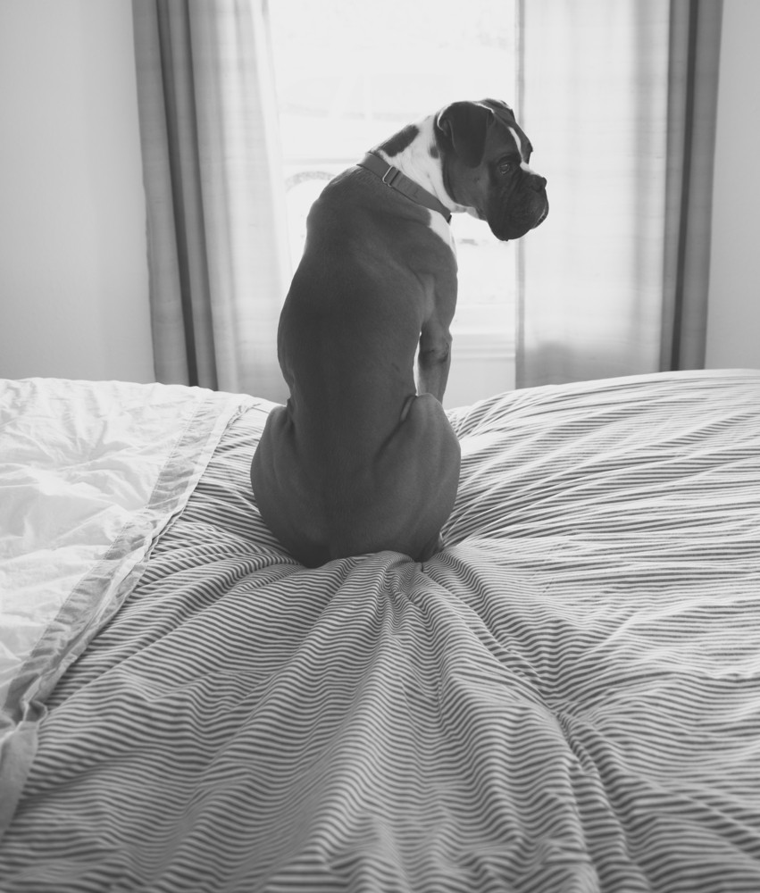 Ciebie nienawidzę najmniej.