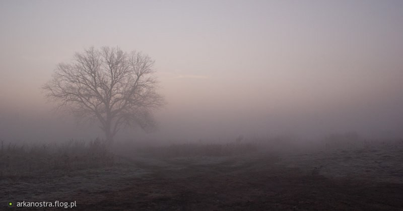 I szukamy powodów, by się odezwać, marnujemy cenne chwile. A …