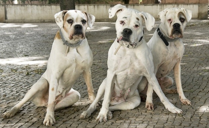 Trzeba łapczywie chwytać każdą chwilę i cieszyć się nią, bo …