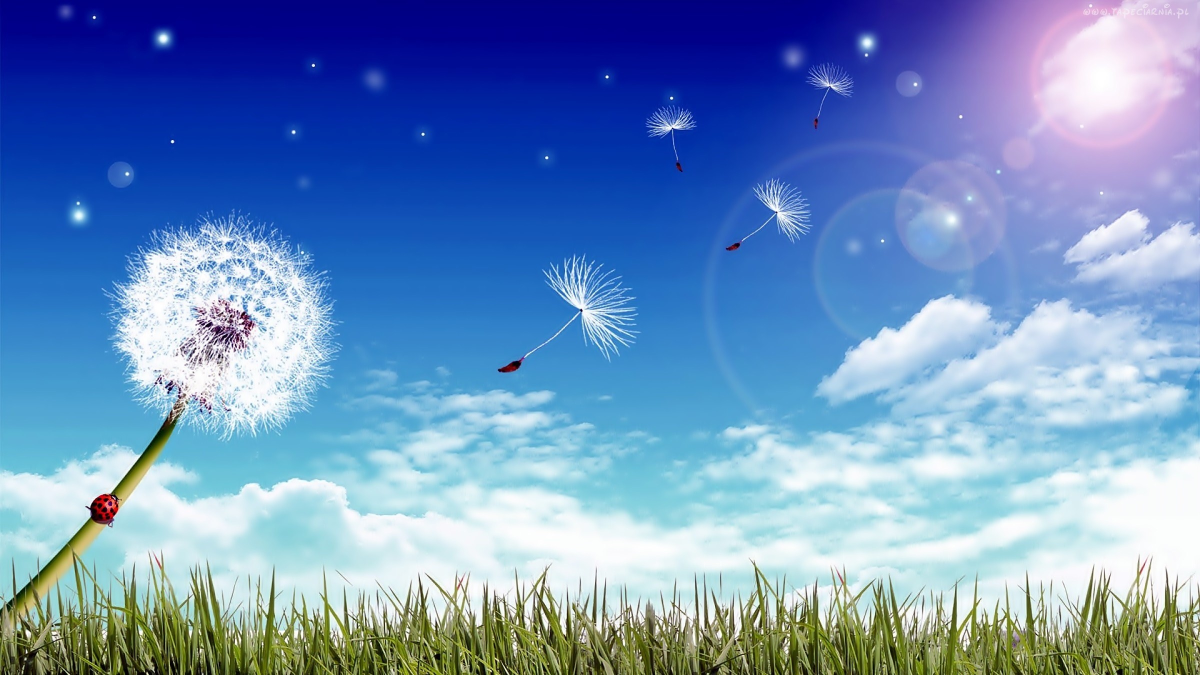 „Jeśli już myślisz że nie masz po co dalej tego …