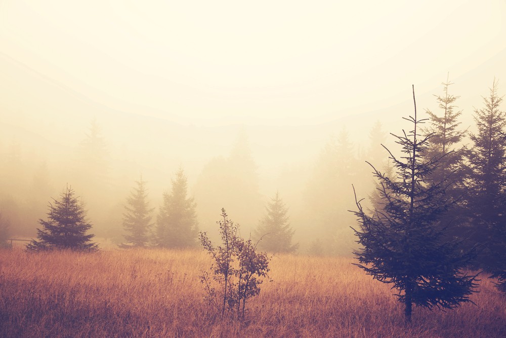 Błogosławieni, którzy potrafią śmiać się z własnej głupoty,albowiem będą mieć …