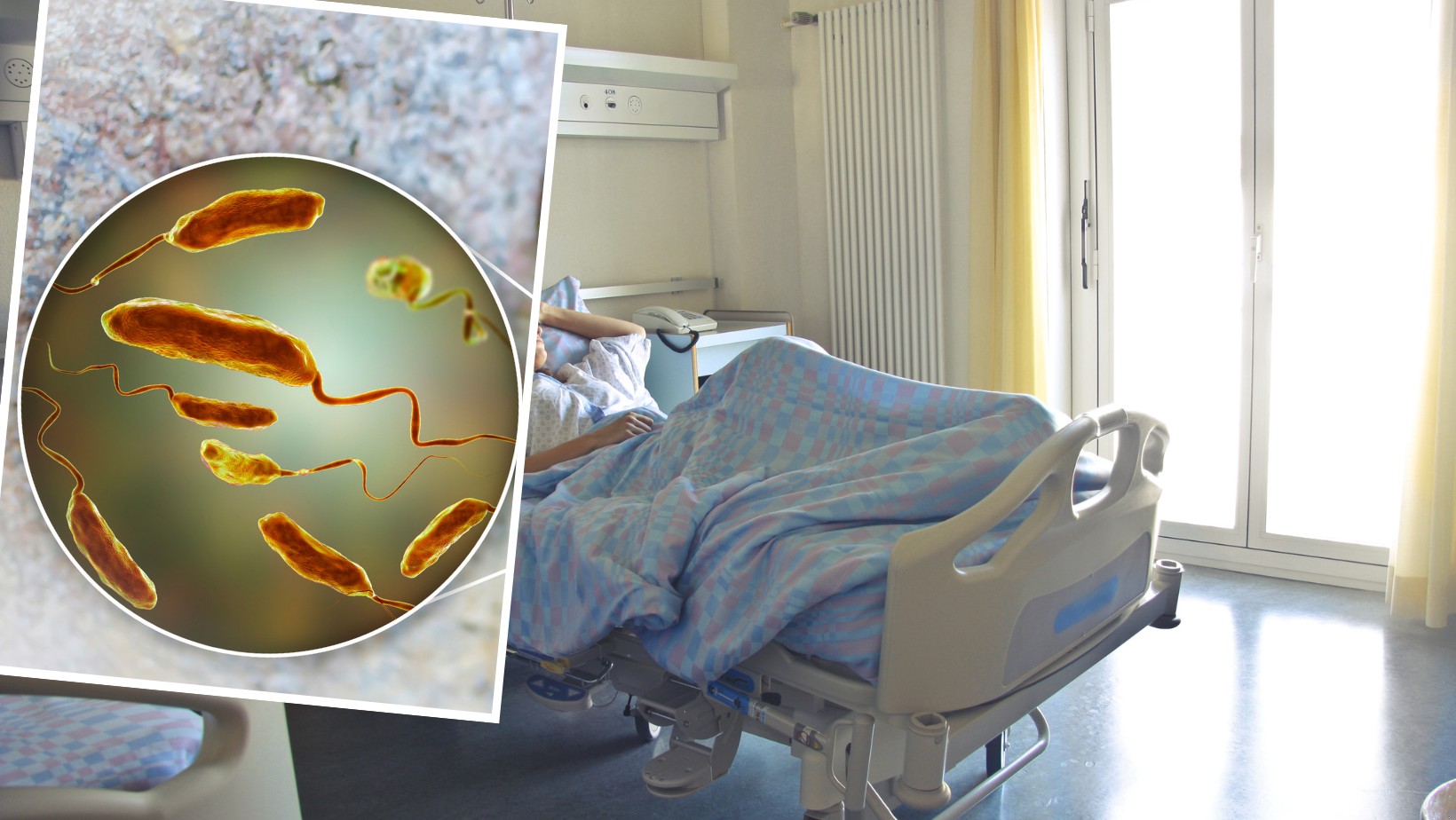 Groźna choroba zakaźna dotarła do Polski! Zaskakujący przypadek chorej pacjentki