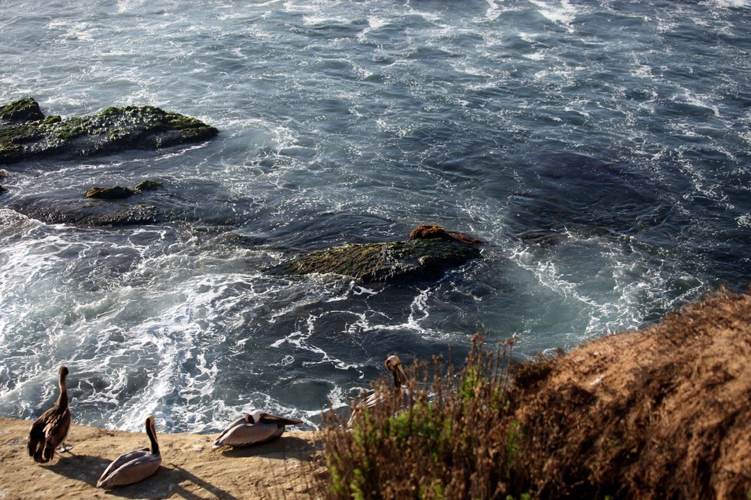 Najgorsza kara, jaką możemy otrzymać, to ta, którą wymierzymy sobie …