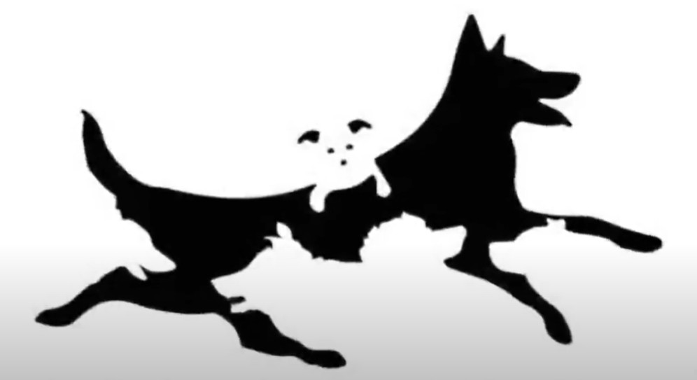 Zdjęcie Jaki jest Twój wiek mentalny? Ten test pozwoli Ci to sprawdzić! #1