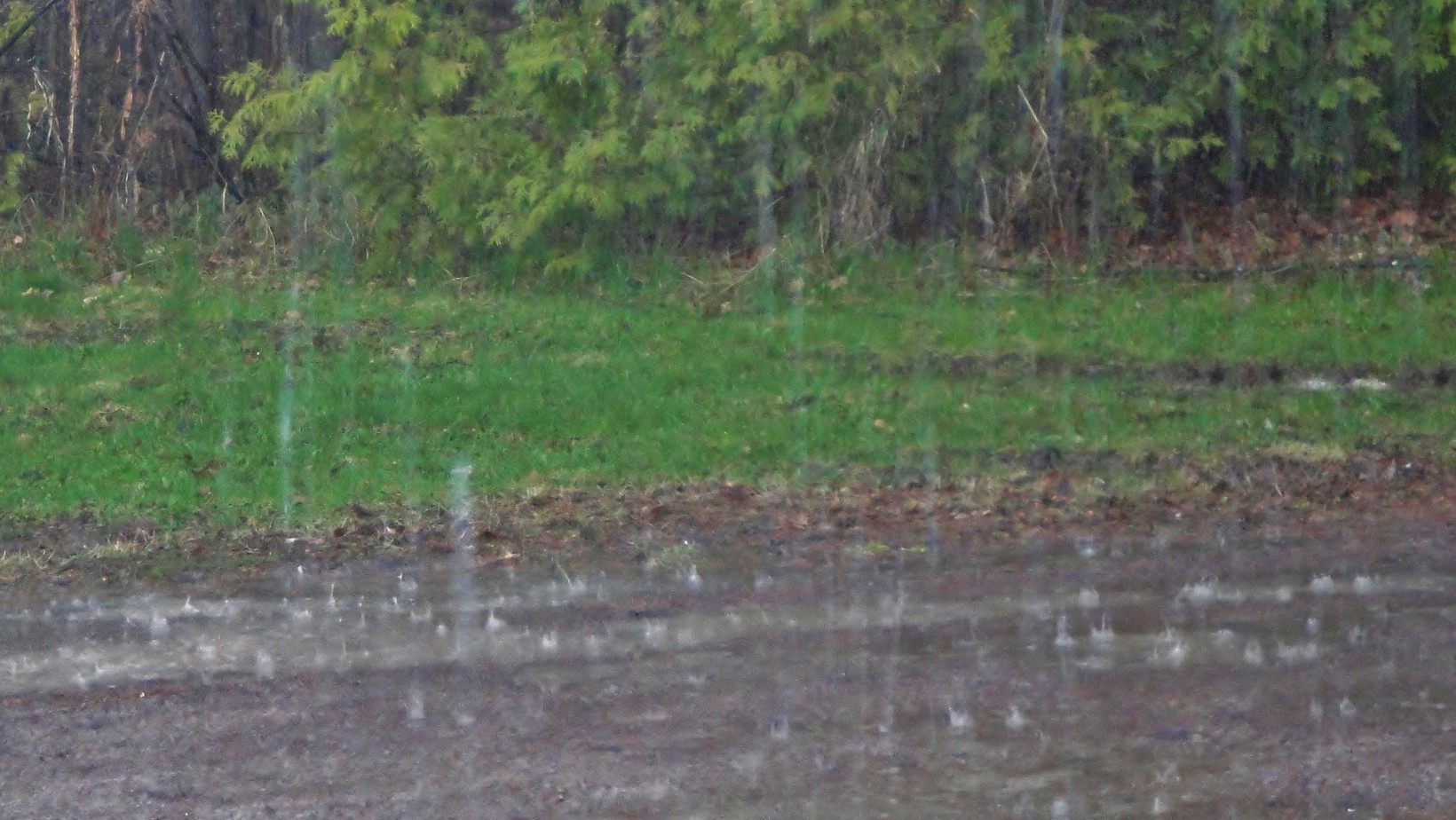 Niż znad Niemiec zbliża się do Polski! Prognozowane intensywne deszcze!
