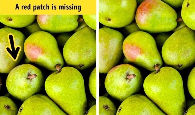 Zdjęcie Sprawdź czy jesteś spostrzegawczy. 
Znajdź jedną różnicę na tych 10 zdjęciach! #13