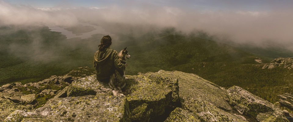 Dopóki trwa życie, dopóty jest nadzieja!