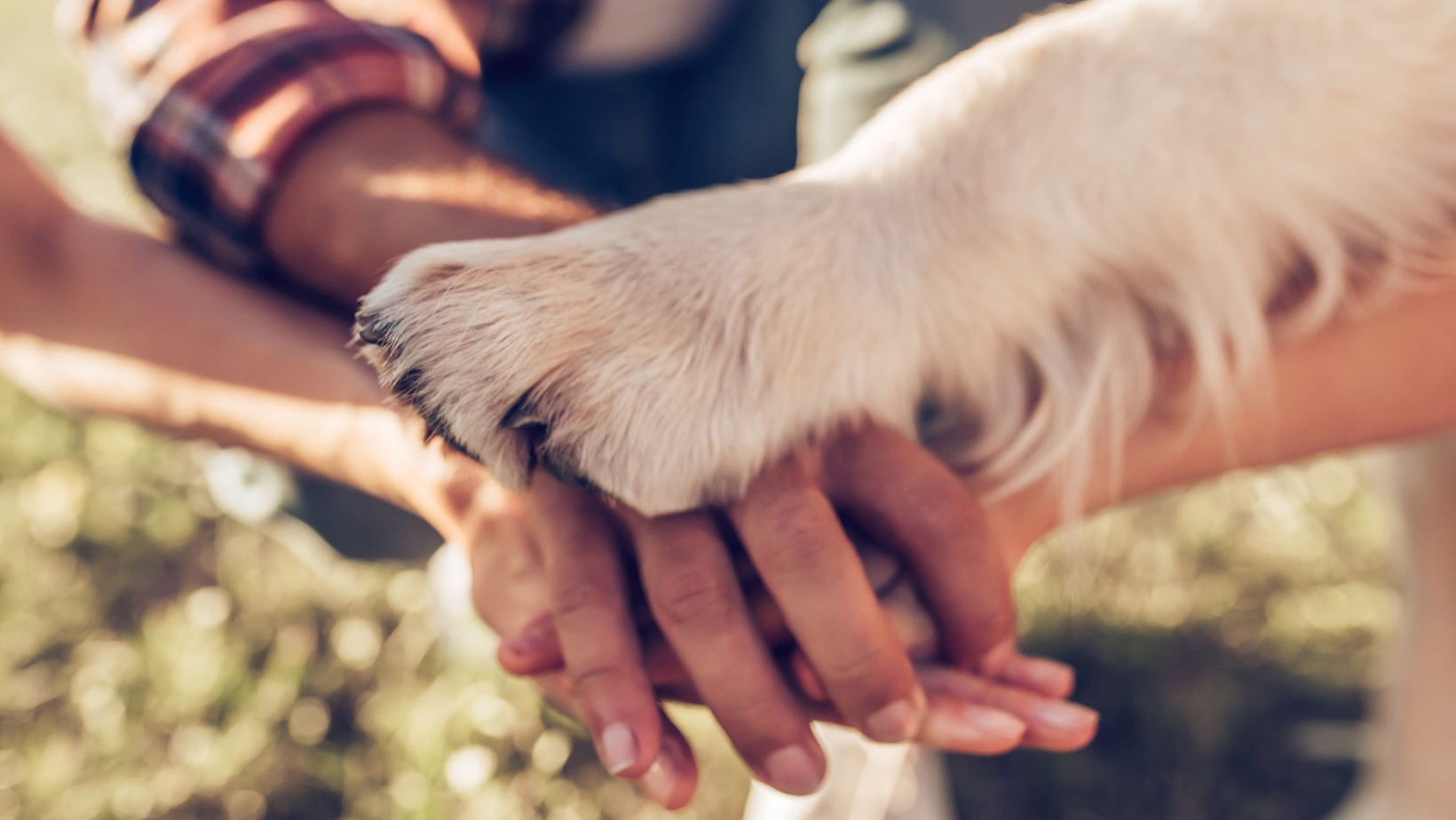 Te znaki zodiaku mają największe serce do zwierząt!