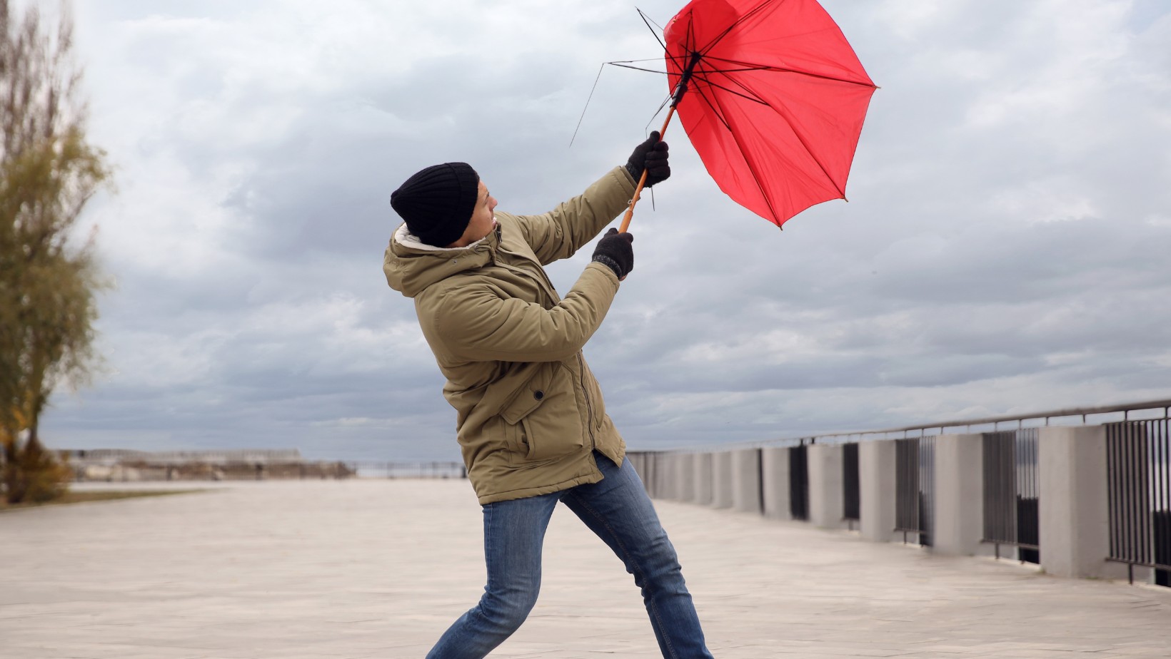 Zdjęcie IMGW ostrzega przed silnym wiatrem! W tych rejonach będzie niebezpiecznie #1