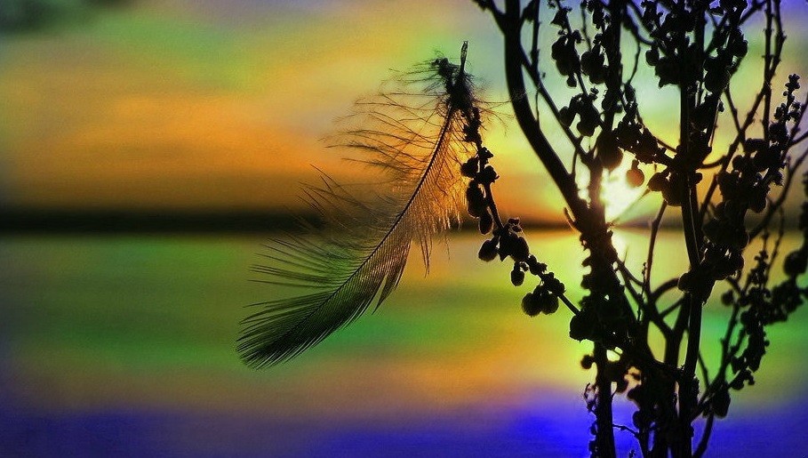 Życie – dożywotnia kara śmierci.