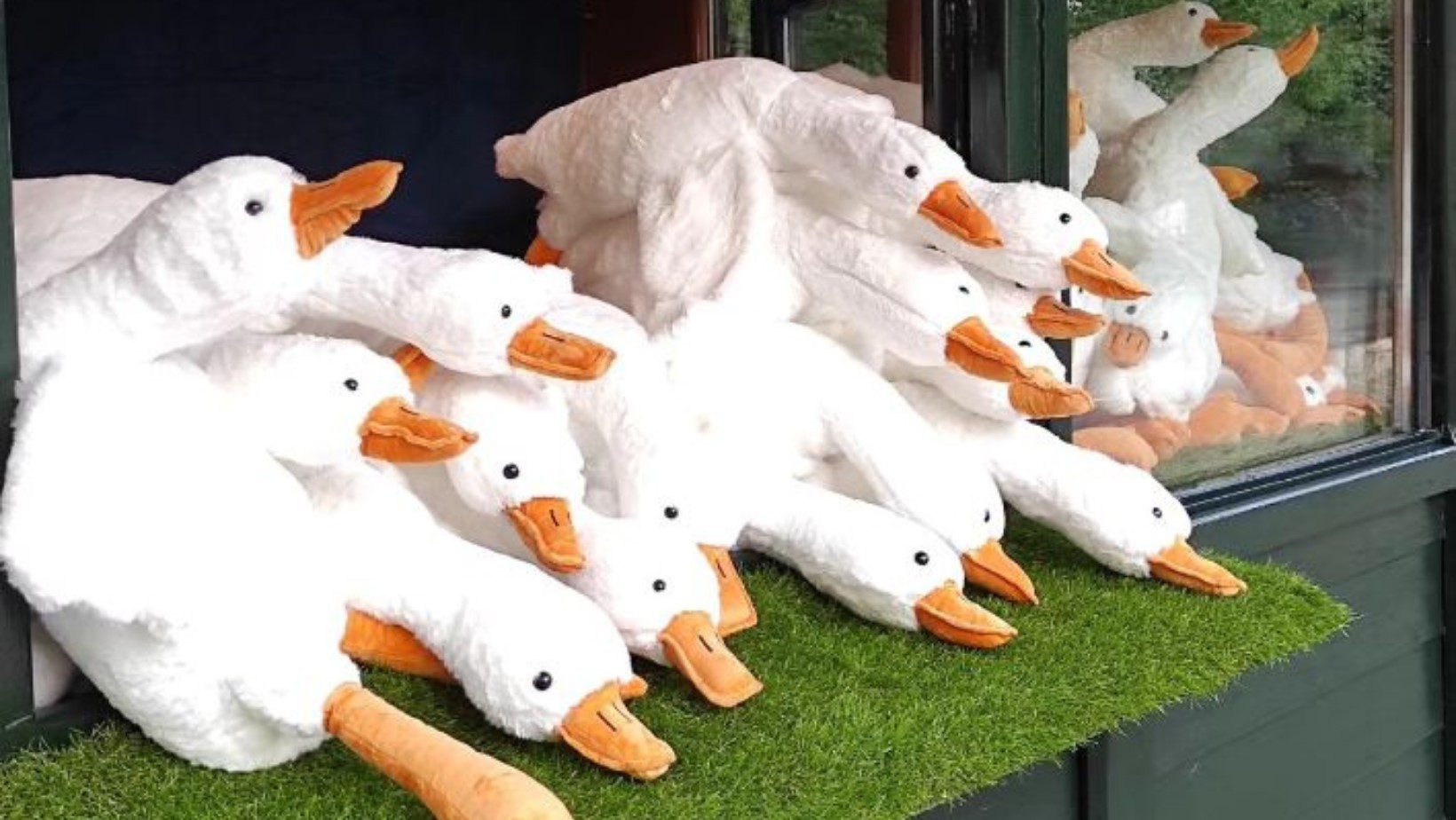 Gęś Pipa może być niebezpieczna? Ostrzeżenia dla rodziców