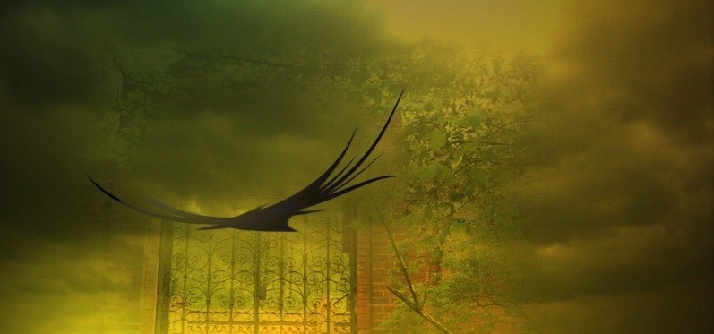 A miłość? Jeszcze jeden nałóg młodości, ryzykowne gry, oszałamiające stany …