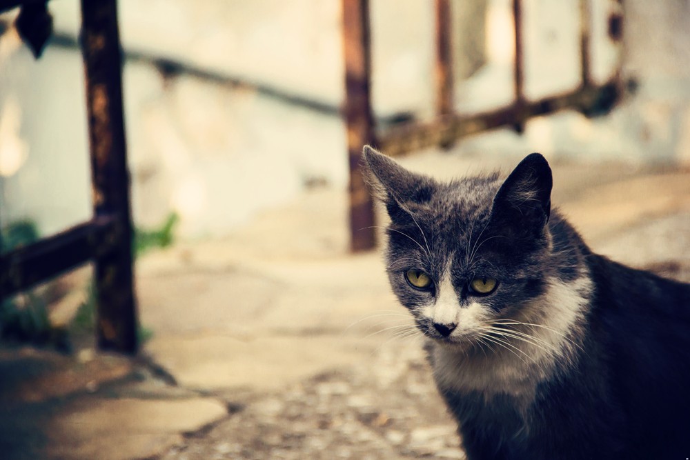 Kiedy wszystkie inne ewentualności zawodzą, cokolwiek pozostaje, nieważne jak nieprawdopodobne, …