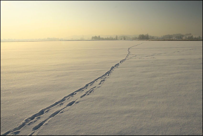 Patrz pod nogi…Bo potkniesz się o własne błędy.