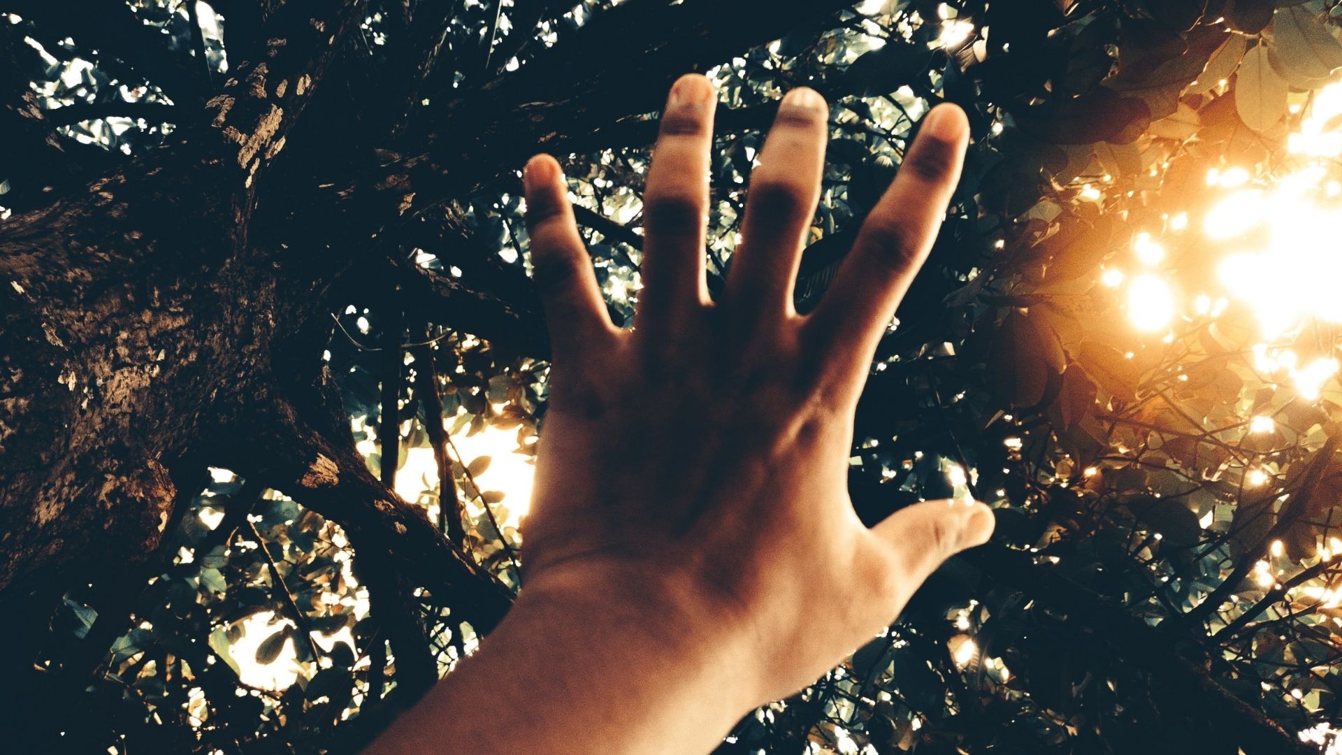 Co nas motywuje? 10 najważniejszych ewolucyjnych instynktów i motywacji człowieka.