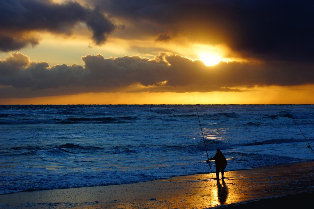 Tu jest taki upał, że drzewa przekupują psy by na …