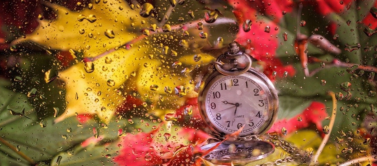 Nawet czyny nieprzyzwoite można wykonywać jak należy.