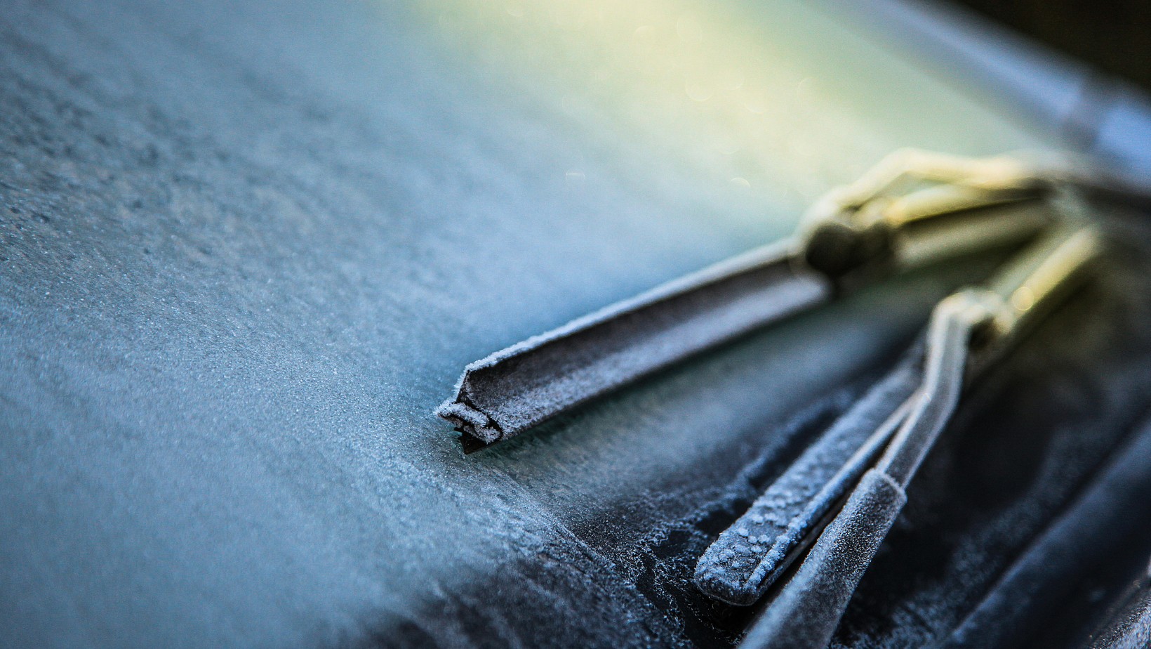 Idą pierwsze przymrozki! Jaka pogoda czeka nas w najbliższych dniach?