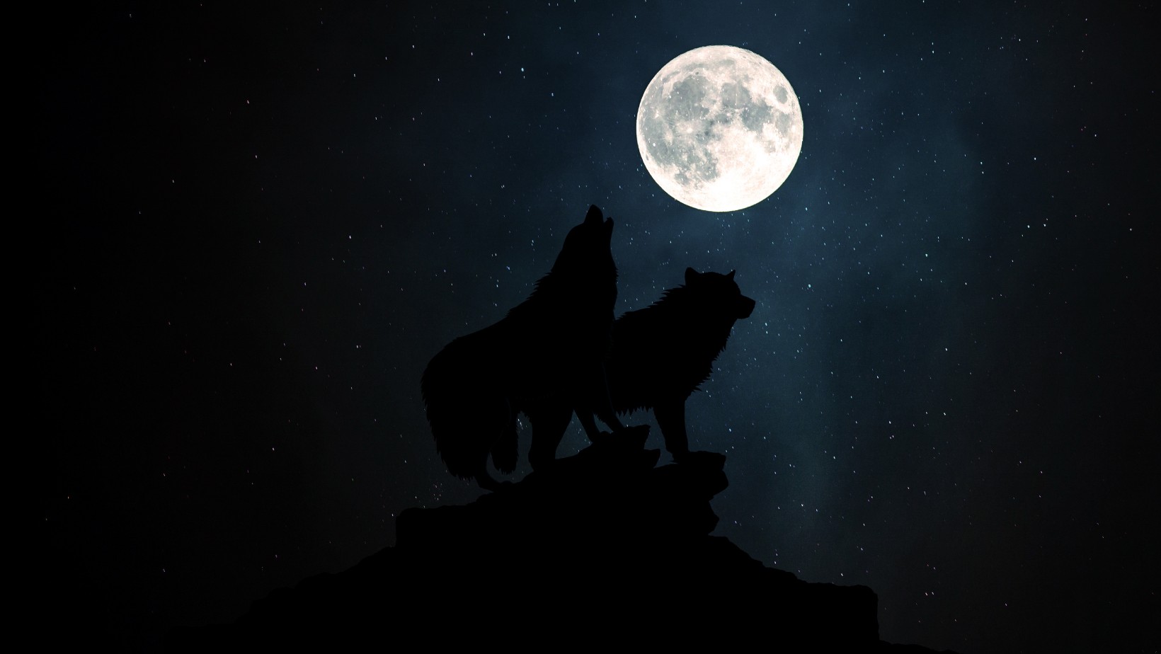 Zdjęcie Wilczy Księżyc na niebie! Co przyniosła pełnia? #1
