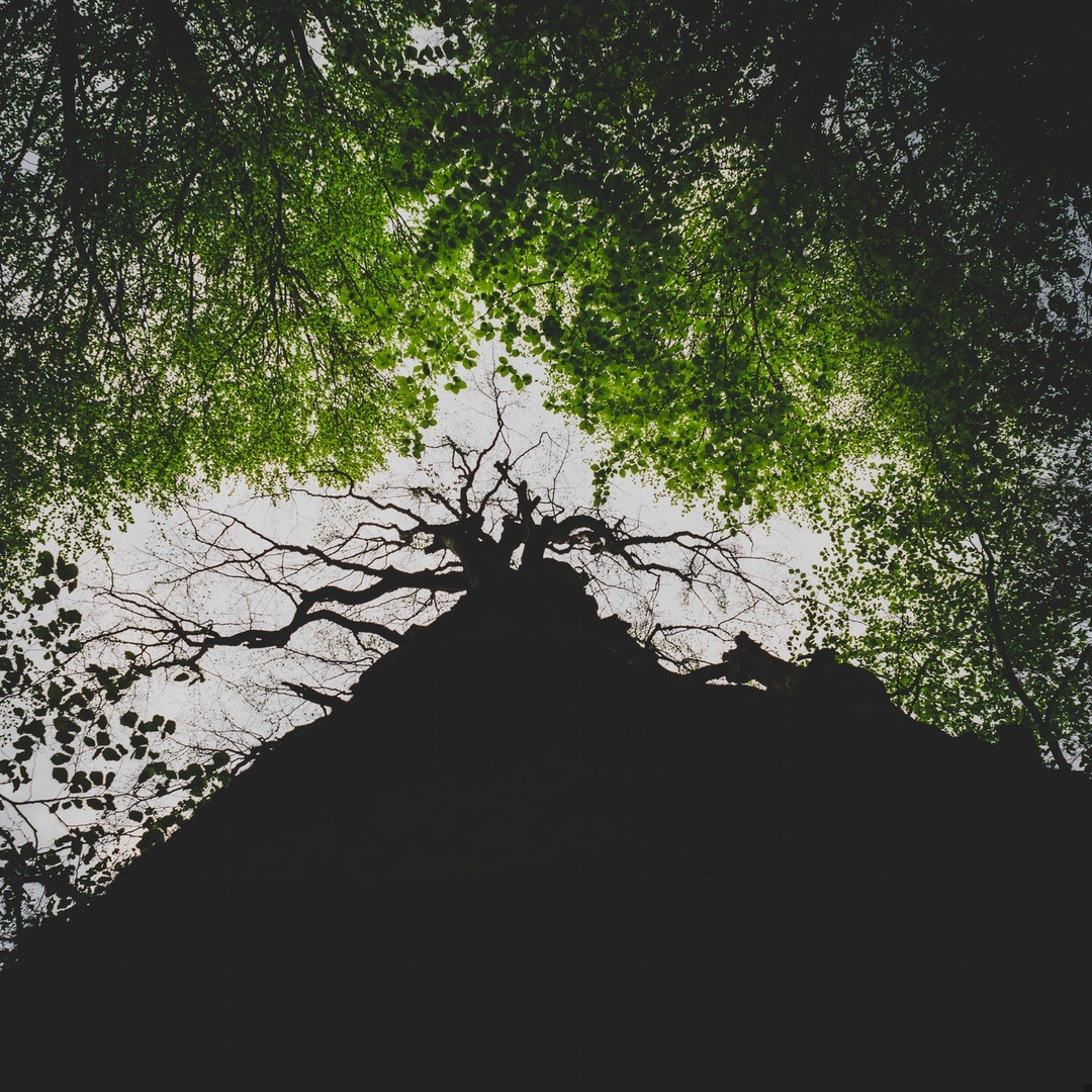 Success is the ability to go from one failure to …