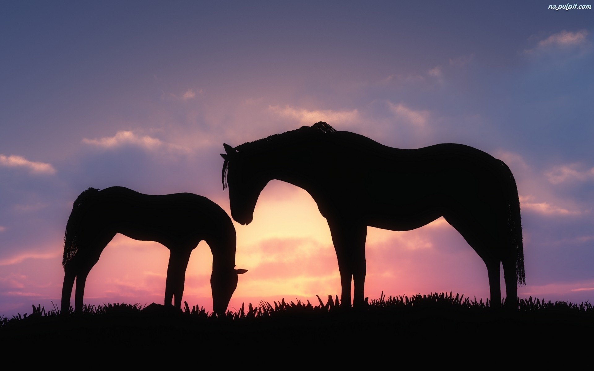 Bezsenność to nic innego,jak uzależnienie się od myśli.