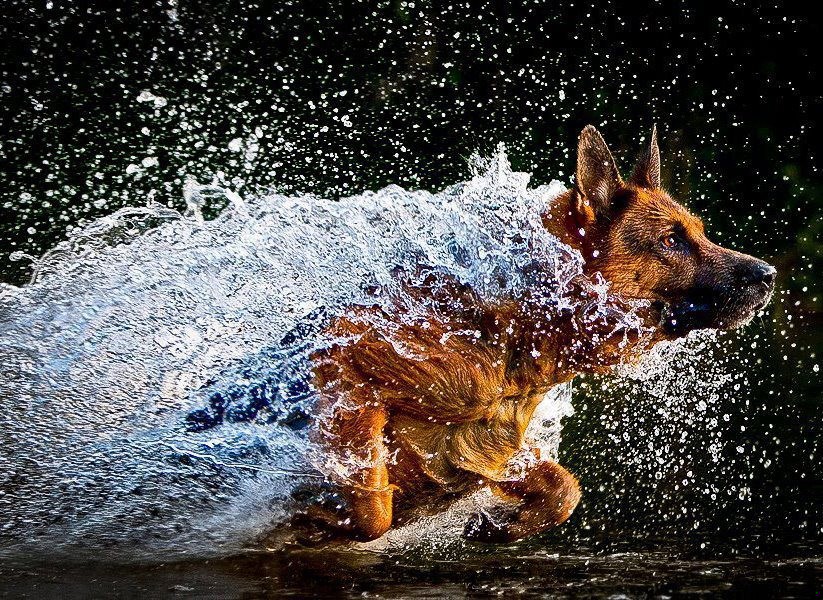 Myślałem, że uczę się, jak żyć, a uczyłem się jak …