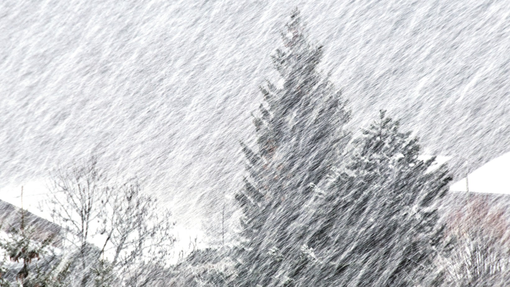 Zdjęcie IMGW wydał ostrzeżenia! Spadnie nawet 10 cm śniegu! #1