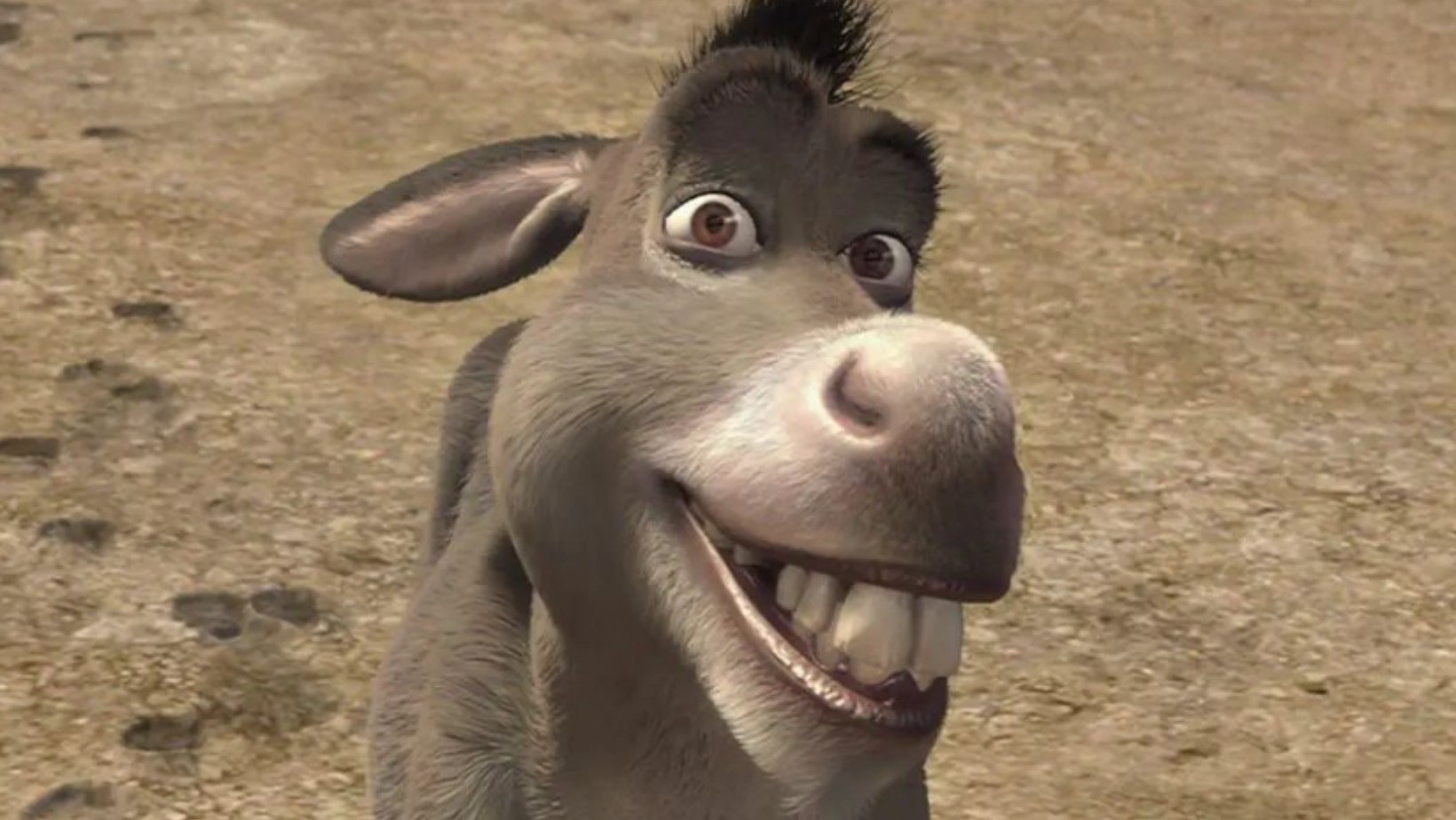 Fani „Shreka” w żałobie! Nie żyje wielka inspiracja!