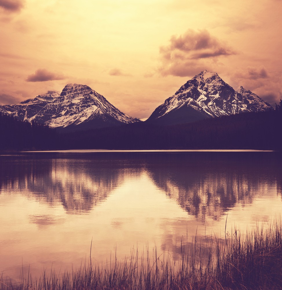 Samotność jest jak czad,jeśli nie zwrócisz w porę na to …